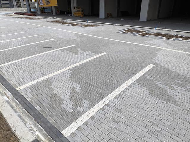 TERRACE LOTUS YAPISAL PEYZAJ