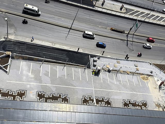 TERRACE LOTUS YAPISAL PEYZAJ