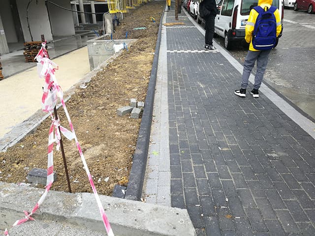 TERRACE LOTUS YAPISAL PEYZAJ